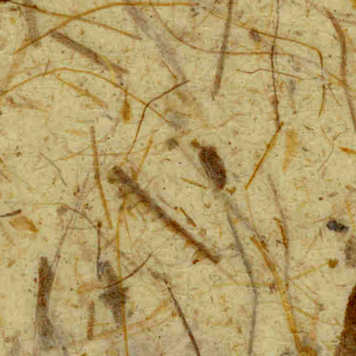 Loose-fit round neck sweater